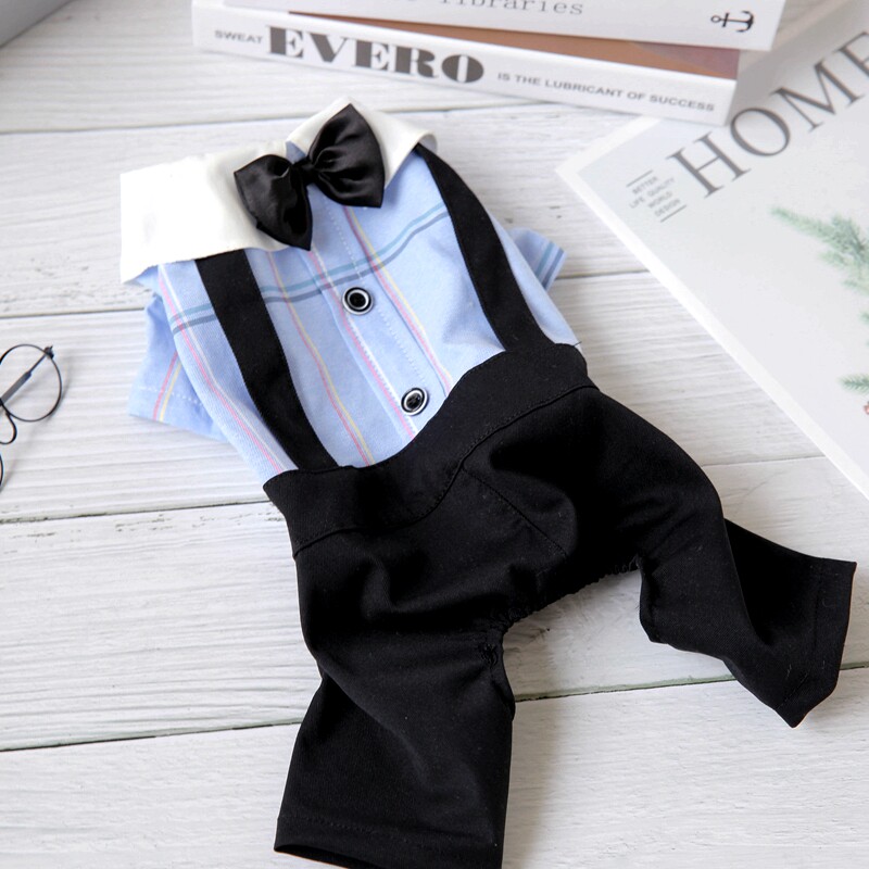 宠物比熊小型犬泰迪狗狗衣服春夏狗宠物服装/雨衣