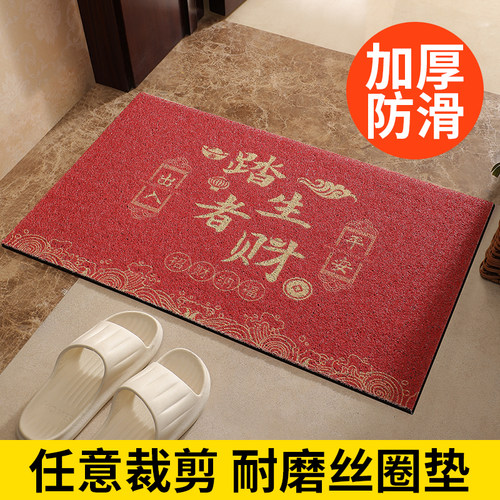 丝圈地垫入户门垫进门家用地毯玄关大门口防N滑耐磨蹭土脚垫子定