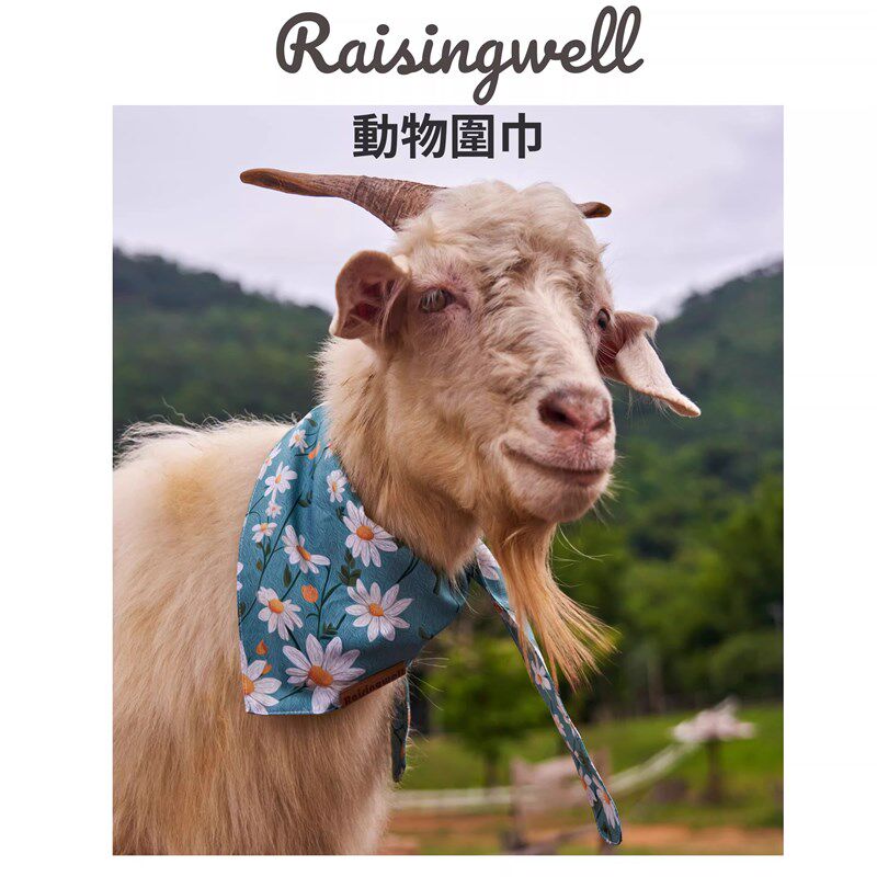 宠物围巾狗狗三角巾围脖围巾大中小型犬猫咪围脖围嘴口水巾时尚款