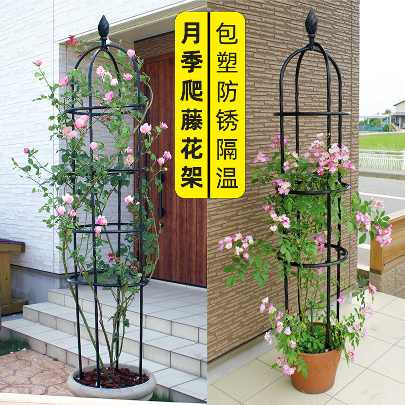 花架爬藤架藤本月季攀爬支撑藤架户外阳台花园花盆花支架铁艺架子