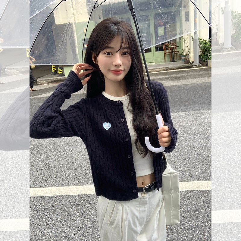 藏蓝色麻花针织开衫外套女秋装高级感韩系外搭毛衣独特上衣