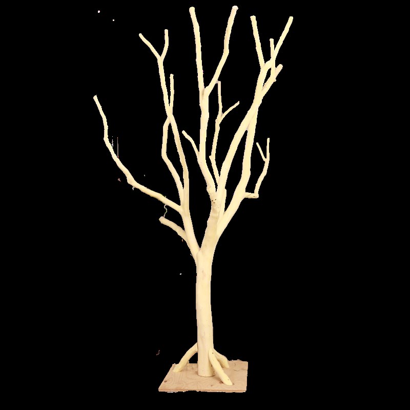 干树枝造景干枝树干许愿树枯树室内庭院造型树枝干原木树枝装饰树