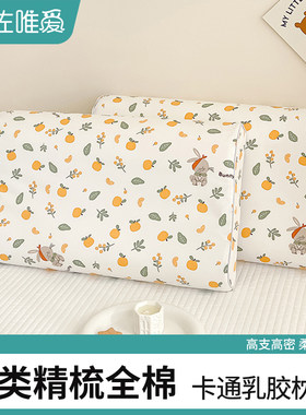 纯棉乳胶枕套一对装家用儿童卡通全棉枕头套40xR60枕芯内胆套女孩