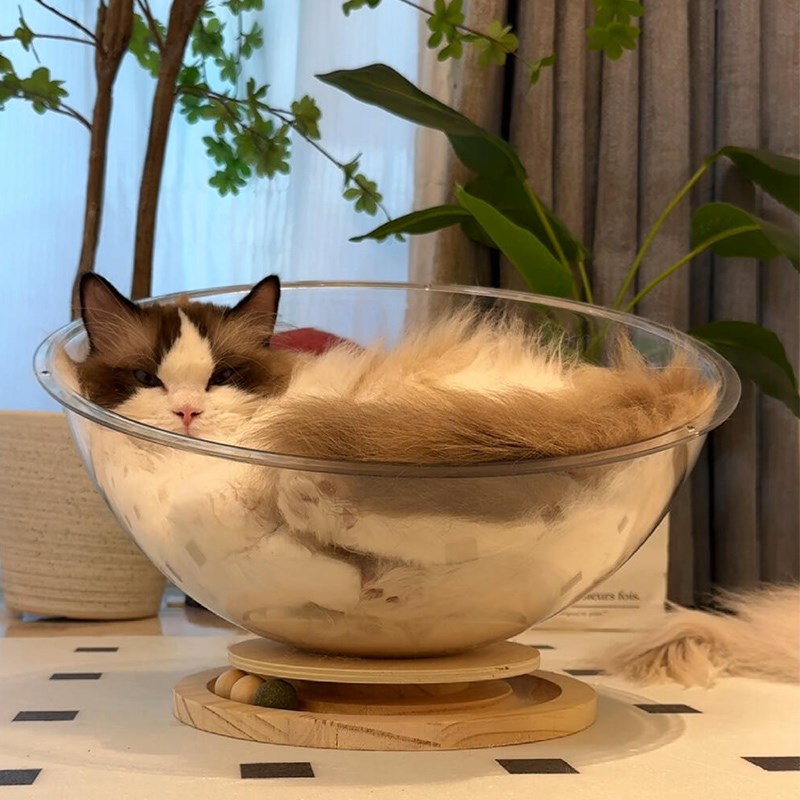 太空舱猫窝四季通用夏季半封闭亚克力透明猫窝猫玩具实木转盘猫床
