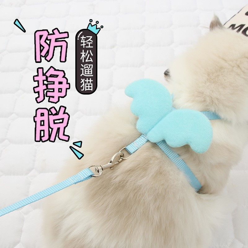 猫咪专用牵引绳栓猫绳遛猫外出背带猫链子牵引带防挣脱遛猫绳子