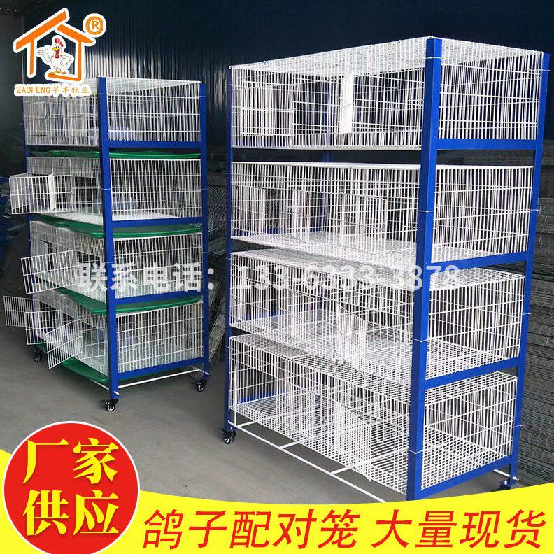 甄选肉鸽笼信鸽配对笼鸽子养殖繁育笼鸽笼厂家鸽笼配件大量现货