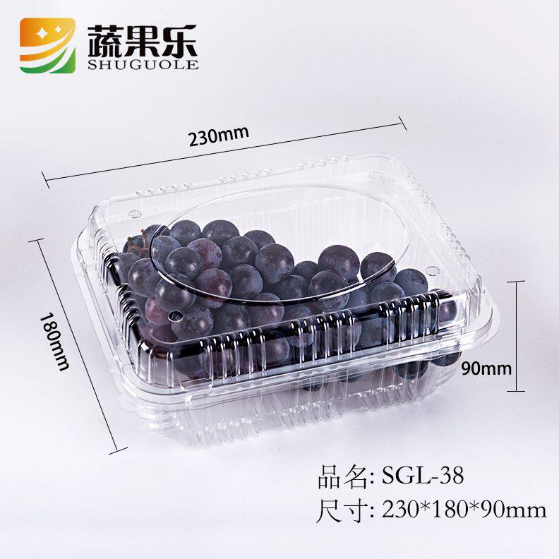 甄选蔬果乐SGL-38一次性透明塑料蔬菜盒葡萄鲜果切透加厚水果盒两