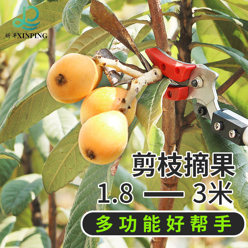 高空锯 果树水果剪刀修枝剪 可伸缩高空剪高枝剪摘果器采果摘果剪