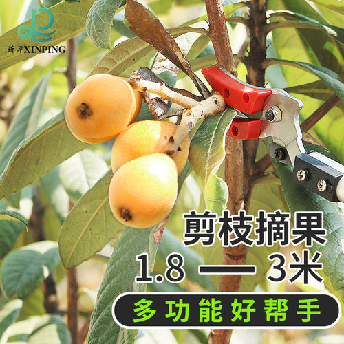 高空锯 果树水果剪刀修枝剪 可伸缩高空剪高枝剪摘果器采果摘果剪