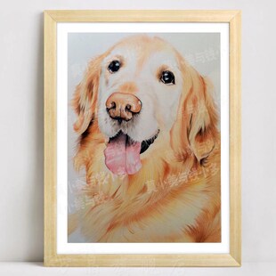 手绘素描定制彩色铅笔萌宠w宠物画像动物画肖像彩铅装饰画挂画