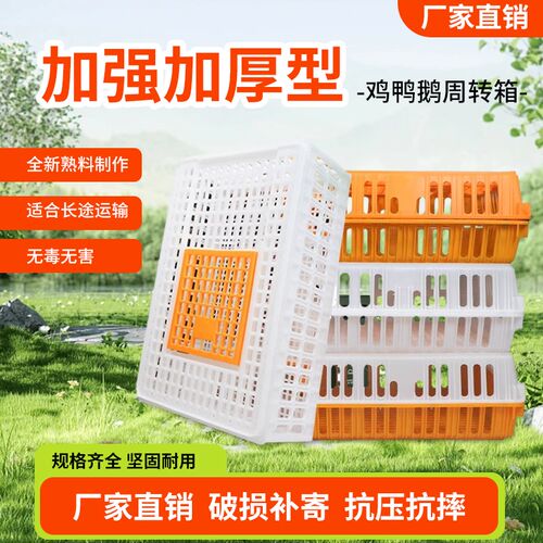 鸡笼周转箱 鸡笼子运输养殖塑料家用大号特大筐 成鸡鸭鹅鸽子兔笼