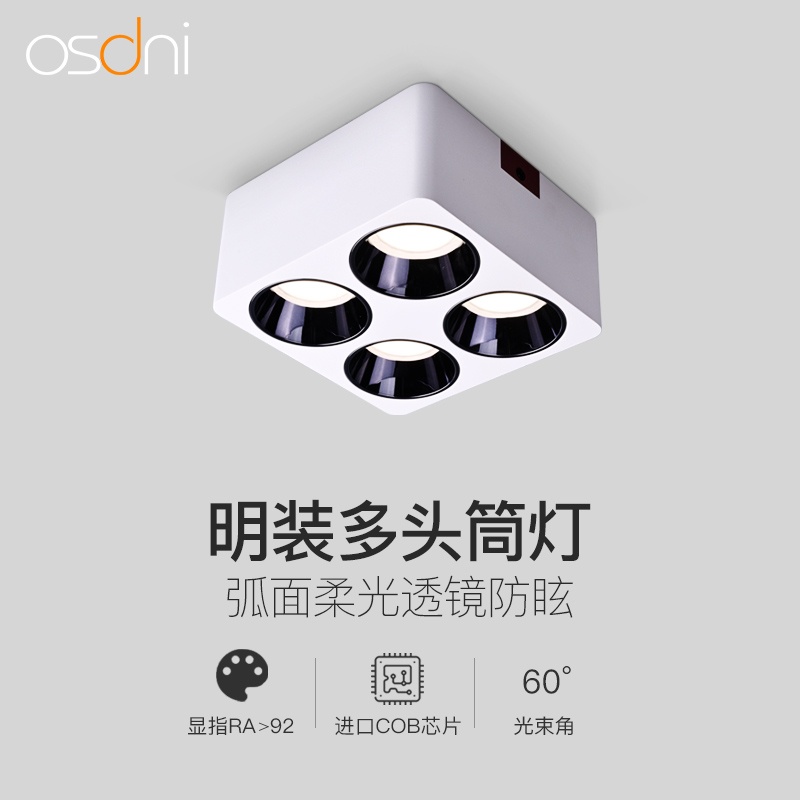 吸顶式筒灯4头lemd明装格栅射灯客厅餐厅家用防眩光方形双头无主
