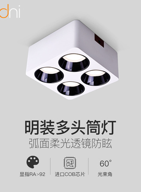 吸顶式筒灯4头lemd明装格栅射灯客厅餐厅家用防眩光方形双头无主