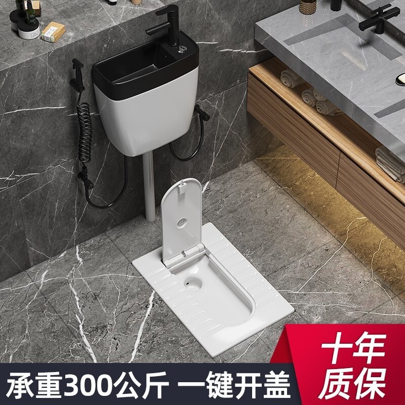 家用卫生间带盖板蹲便器带洗手盆陶瓷水箱整套装蹲厕蹲坑防臭便池
