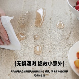 环保无胶轻奢高级防水可擦免洗加厚家用地垫 地毯客厅2024新款