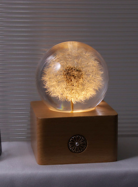 手工水晶球树脂工艺品蒲公英植物标本特色送礼礼物小夜灯家居摆件