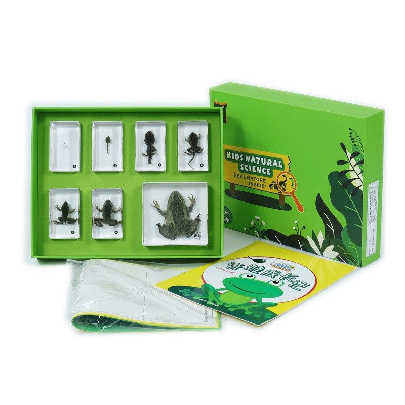 儿童科学实验室幼教认知玩具真实昆虫海洋动植物实物包埋树脂标本,玩具/童车/益智/积木/模型,科学实验,淘宝优惠券,粉丝福利购,淘宝优惠卷
