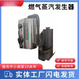 燃油气大型多种燃料蒸汽发生器 蒸汽锅炉6吨16公斤全自动卧式