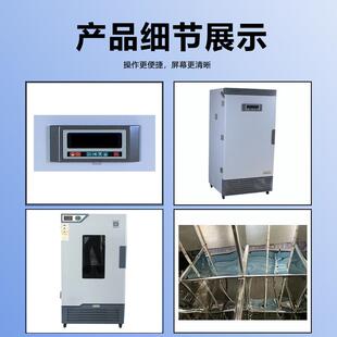 实化生霉菌培养箱 验室电热恒温恒湿细菌SPL/MJL微生物物育种植BO