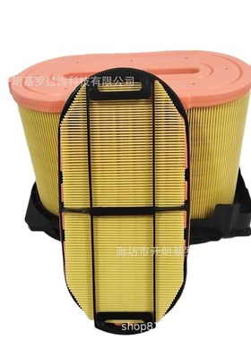 346-6687/6688 346687 PA5289 AF25163 2232513 C30400-1空气滤芯