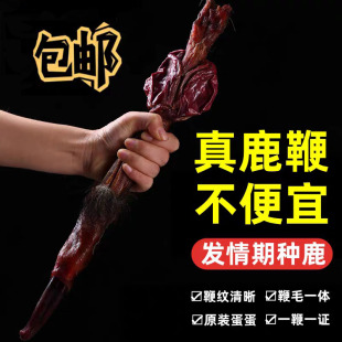 鹿鞭干整根整枝新鲜正品 男性泡酒料鹿茸片丸膏吉林长白山梅花鹿