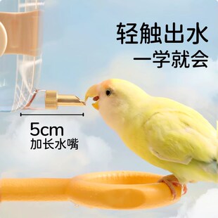 它适鹦鹉水壶饮水器鸟用撞针水壶自动喝水器小太阳牡丹玄凤喂水器