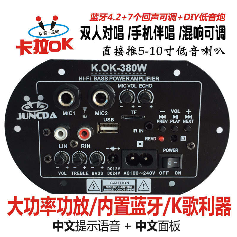 双话筒大功率蓝牙功放板12V24V220V低音炮功放板音箱主板车载通用