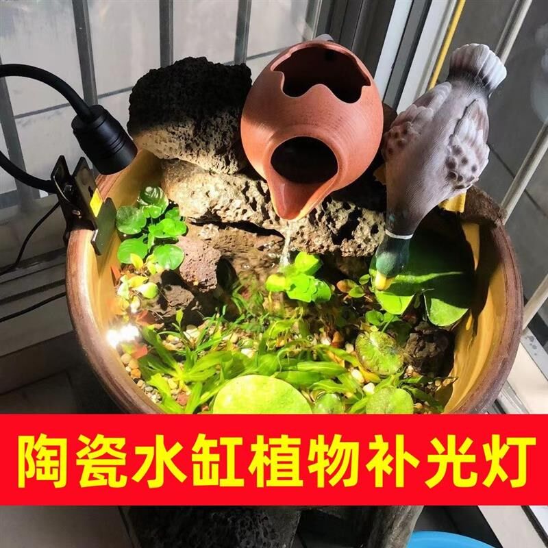 古法养鱼陶瓷盆水缸专用鱼缸夹灯水草补光灯原生溪流变焦南美射灯
