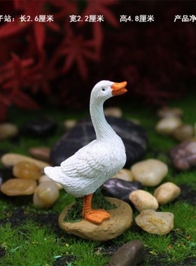 树脂小白鸭盆景水池假山阳台盆栽鸭子摆件微景观苔藓摆设花盆动物