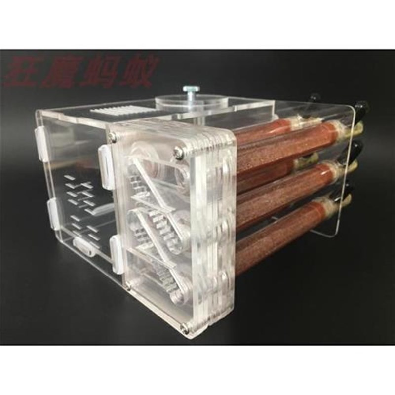 狂魔蚂蚁6试管巢大尺寸6试管