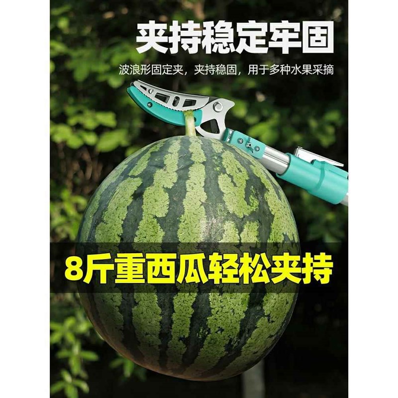 摘水果采摘枇杷荔枝杨梅龙眼摘果神器伸缩杆O高空剪树枝高枝剪剪
