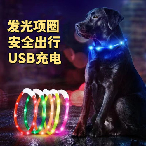 狗狗发光项圈宠物夜间遛狗狗防走失脖圈充电柯基金毛中小型犬颈圈