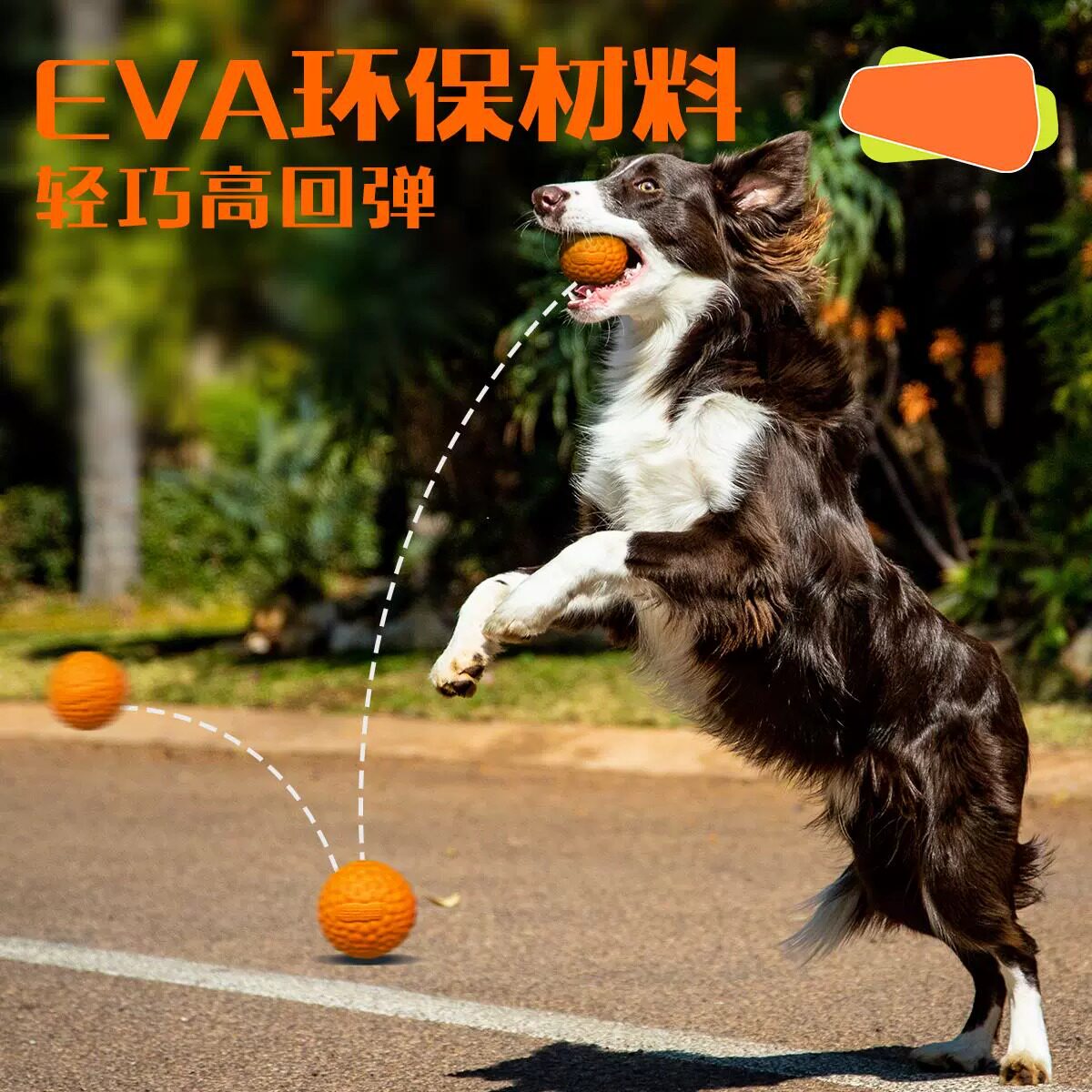 宠物自嗨解闷互动耐咬边牧磨牙训练柯基训犬训狗专用球神器