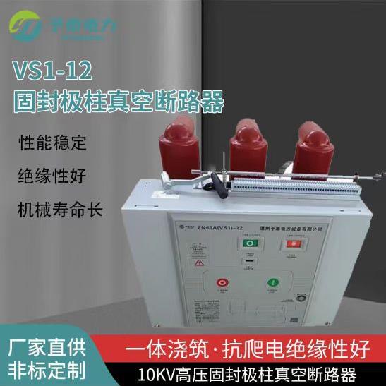 VS1-12/2500-31.5高压户内真空断路器10KV柜内开关固定价格