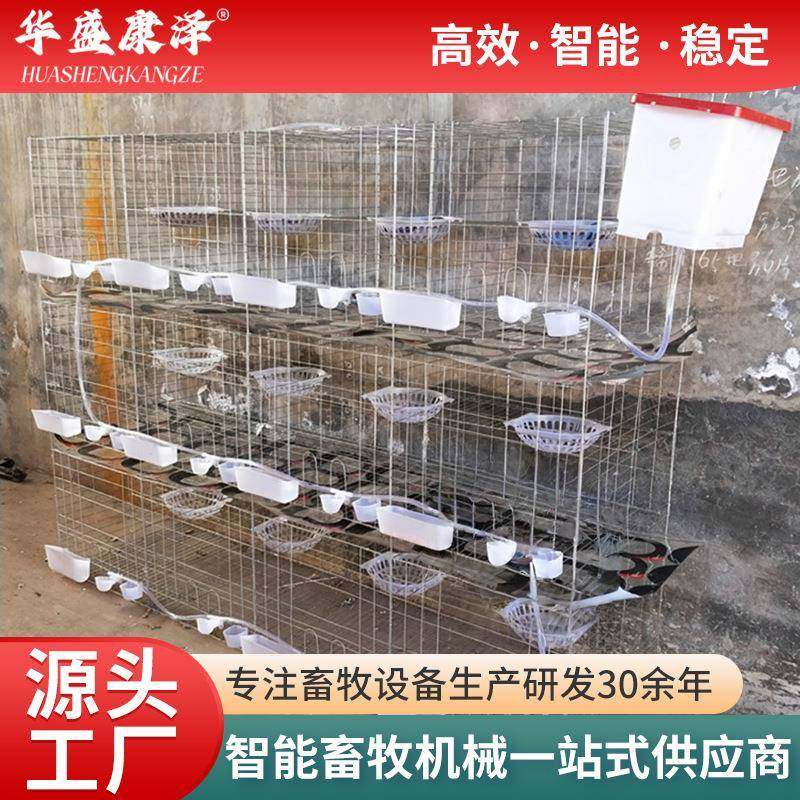 鸽笼加粗鸽笼户外镀锌鸟笼收鸽笼农村鸽子笼养殖兔笼加密鸽笼鸟笼,畜牧/养殖物资,特种养殖设备,淘宝优惠券,粉丝福利购,淘宝优惠卷
