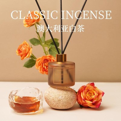 2pc Home Fragrance qScent Diffuser Sticks room Air Freshener