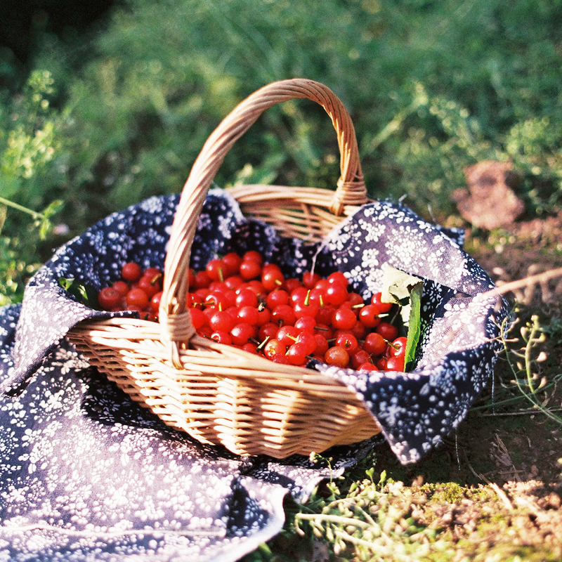 手提篮子藤编柳编创意手工编织小号田园采摘家居收纳装饰篮采摘篮