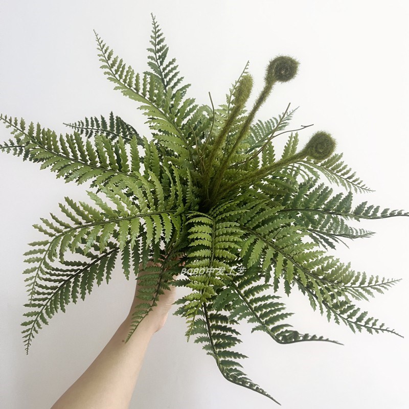 高仿真大蕨叶肾蕨蕨类蕨草植物波斯草绿植橱窗墙面造景软装摆件