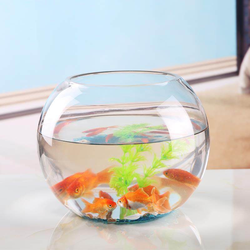 客厅大号透明缸创意缸玻璃鱼缸桌面加厚圆形乌龟金鱼水培,宠物/宠物食品及用品,桌面缸,淘宝优惠券,粉丝福利购,淘宝优惠卷