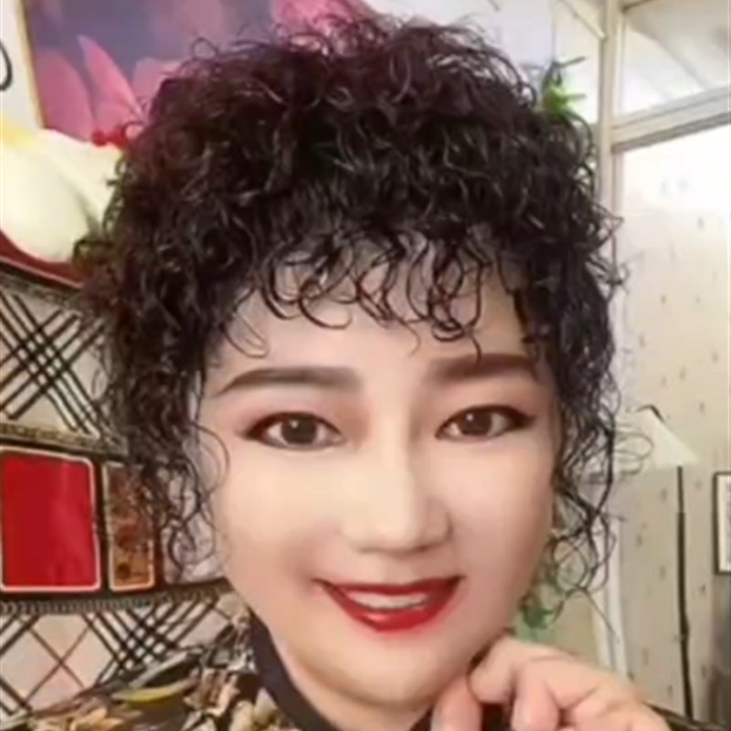 小函羊毛卷蓬松h补发中老年补发古典补发头顶补发片女刘海假发片