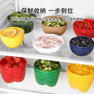 塑料盒蔬菜PP保鲜盒收纳水果盒洋葱密封盒套装 柠檬保鲜碗 饭盒