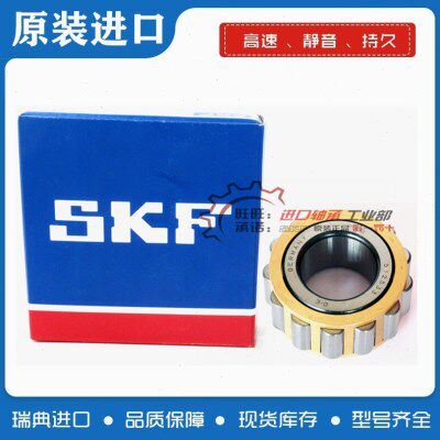进口SKF轴承 RN303 RN304 RN305 RN306 RN307 RN308 RN309 EM NSK