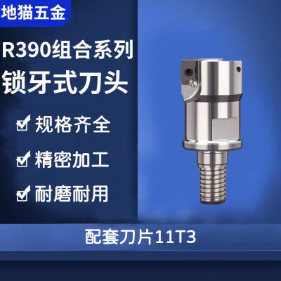 数控BAP加工中心螺纹头锁牙式刀头数控钨钢抗震铣刀杆R390 可换头