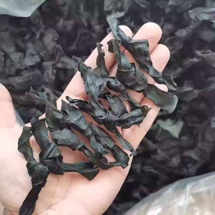海带结新鲜干货商用批发海带结卤味关东煮火锅串串食材原料海带扣