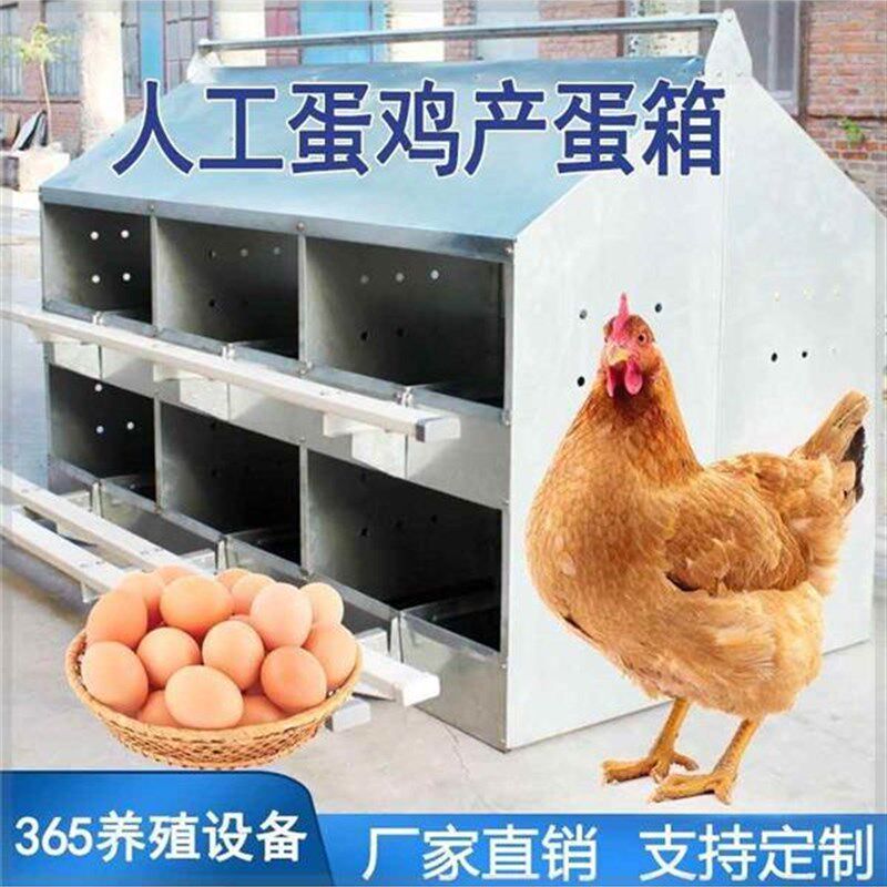 散养鸡窝下蛋窝防雨n产蛋箱24穴鸡土鸡下蛋器家禽12穴种鸡集蛋箱
