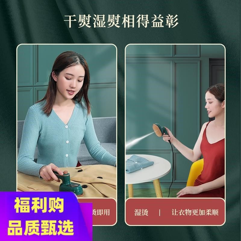 110v伏手持挂烫机家用小型便携式熨烫机干湿两熨宽V电压迷你电熨