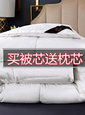 白色羽丝绒被子四季通用 聚酯纤维被套含枕芯 空调被十斤送枕头