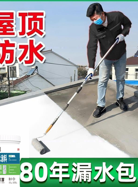 染彩达白色防水涂料屋顶裂缝防水堵漏大面积楼顶堵漏王聚氨酯材料