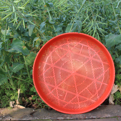 仿竹编塑料晾晒簸箕筛子厚实耐用粗孔细孔千孔筛谷物杂粮芝麻菜籽