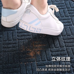 门口垫子进门地垫家用脚垫门垫入户门户外地垫门外踩脚垫轻奢地毯